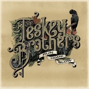 Teskey Brothers - Run Home Slow Vinyl