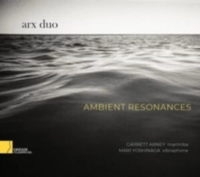 Arx Duo: Ambient Resonances CD / Album