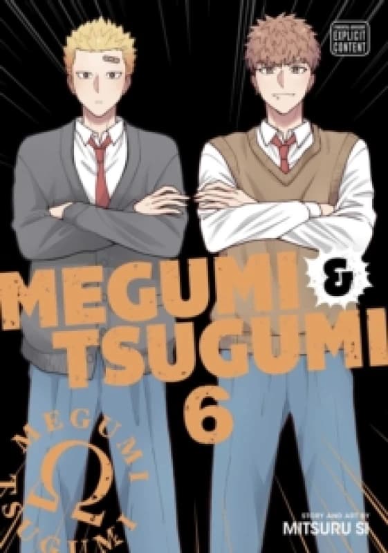 Megumi & Tsugumi, Vol. 6 Paperback / softback