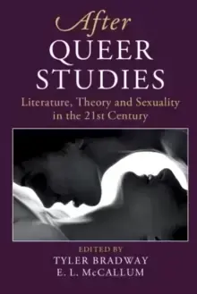 After Queer Studies : Literature, Theory and Sexuality in the 21st Century