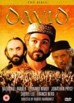 The Bible David - DVD