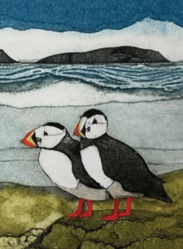 Wild Birds Pocket Notebook: Puffin Notebook / blank book