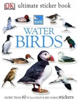 Water Birds by Ben Hoare Paperback