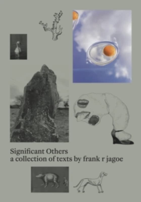 Significant Others Paperback / softback