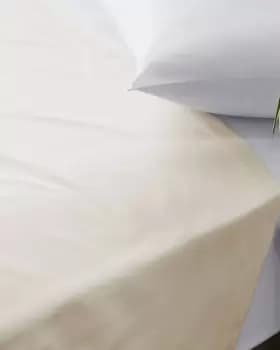 Cotton Traders 200 Thread Count Percale Flat Sheet in White