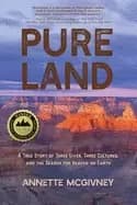 pure land a true story of three lives three cultures and the search for hea