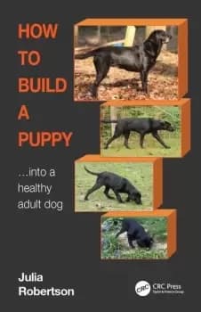How to Build a Puppy Into a Healthy Adult Dog