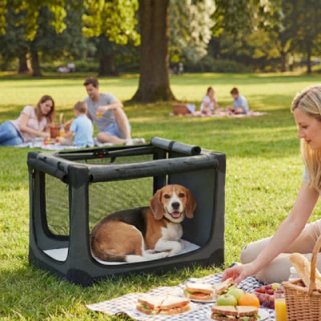 Pawhut Collapsible Dog Crate Portable Pet Travel Carrier 76 X 54 X 54 Cm