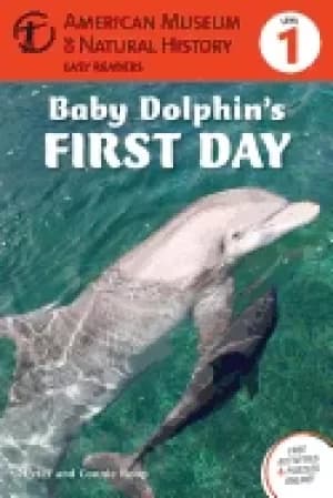 baby dolphins first day