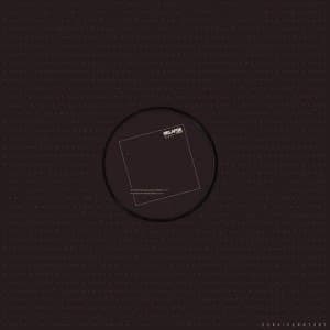 Survive - Rr7387 (Remix) Vinyl