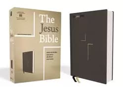 jesus bible esv edition cloth over board gray