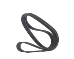 RIDEX V-ribbed belt 305P0067 Serpentine belt,Auxiliary belt MERCEDES-BENZ,OPEL,FORD,SPRINTER 3,5-t Kasten (906),SPRINTER 3,5-t Bus (906)