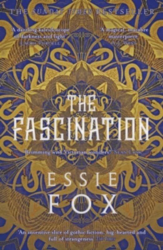 The Fascination Paperback / softback