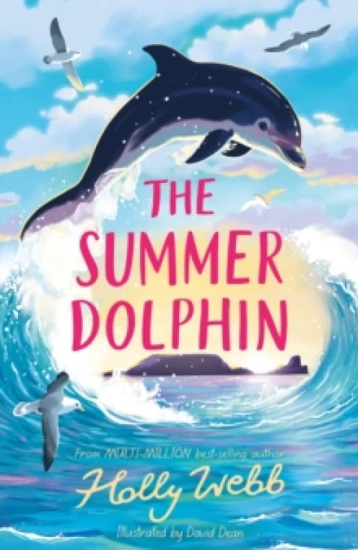 The Summer Dolphin Paperback / softback