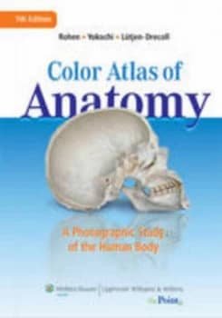 Color Atlas of Anatomy by Johannes W. Rohen Hardback