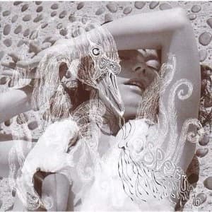 Bjork - Vespertine Vinyl