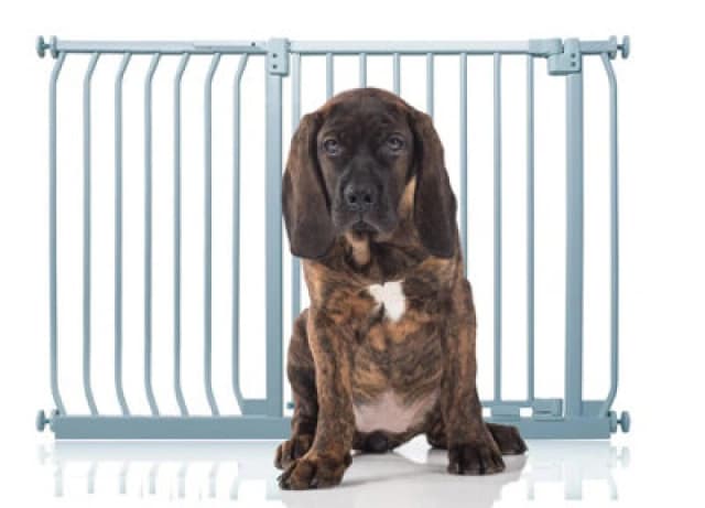 Bettacare Elite Pressure Dog Gate, 116Cm - 125Cm, Matt Grey, Pressure Fit Pet Gate For Dog And Puppy