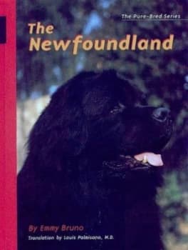 The Newfoundland by Emmy Bruno Paperback
