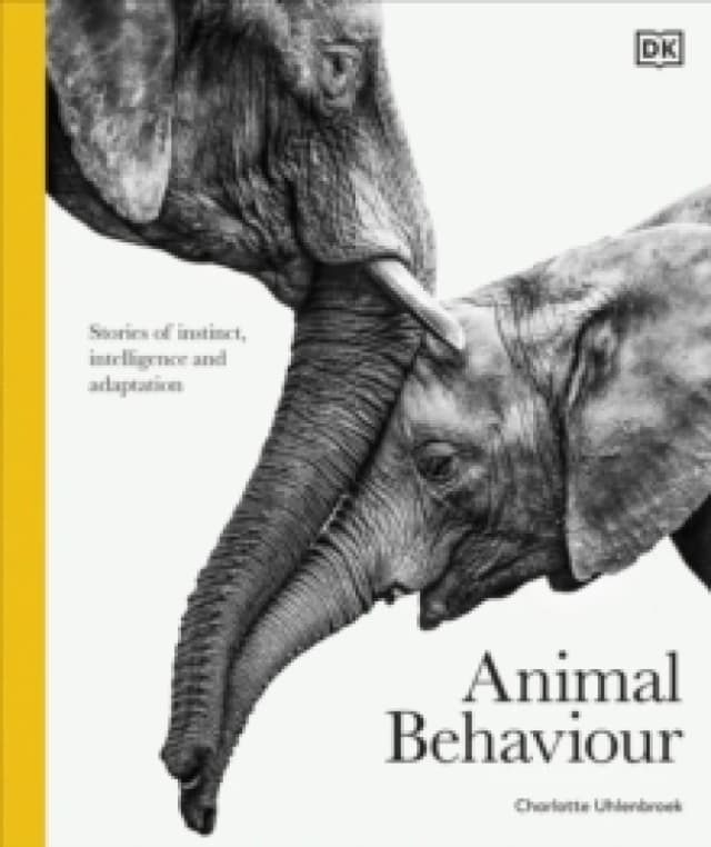 Animal Behaviour. Hardback. By Charlotte Uhlenbroek Books