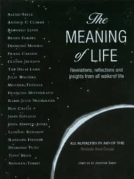 The Meaning of Life by Jonathan Gabay Hardback