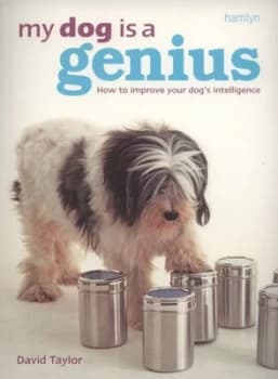 My Dog Is a Genius by David Taylor Paperback