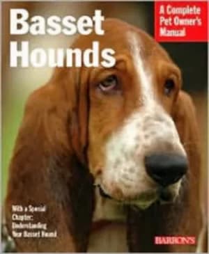 Basset hounds by Joe Stahlkuppe