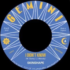 Skinshape - I Didn't Know Vinyl