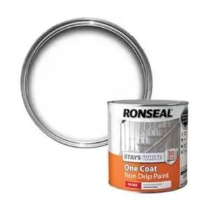 Skip20A Ron Paint Onecoat Stays White Gl