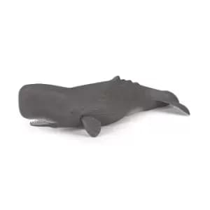 Papo Marine Life Sperm Whale Toy Figure, 3 Years or Above, Grey...