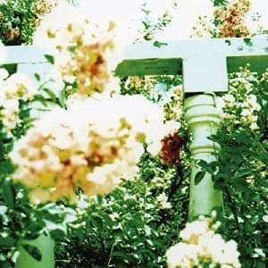 Unwed Sailor Little Wars LP Vinyl