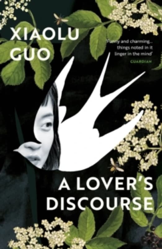 A Lover's Discourse Paperback / softback