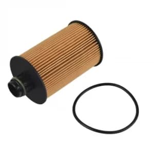 Oil Filter ADA102129 by Blue Print