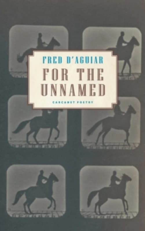 For the Unnamed Paperback / softback