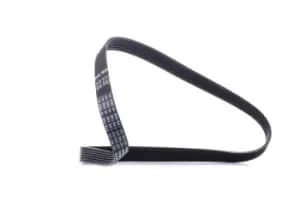 Bosch V-ribbed belt BMW,RENAULT 1 987 946 250 11287560485,8200465689,8200833574