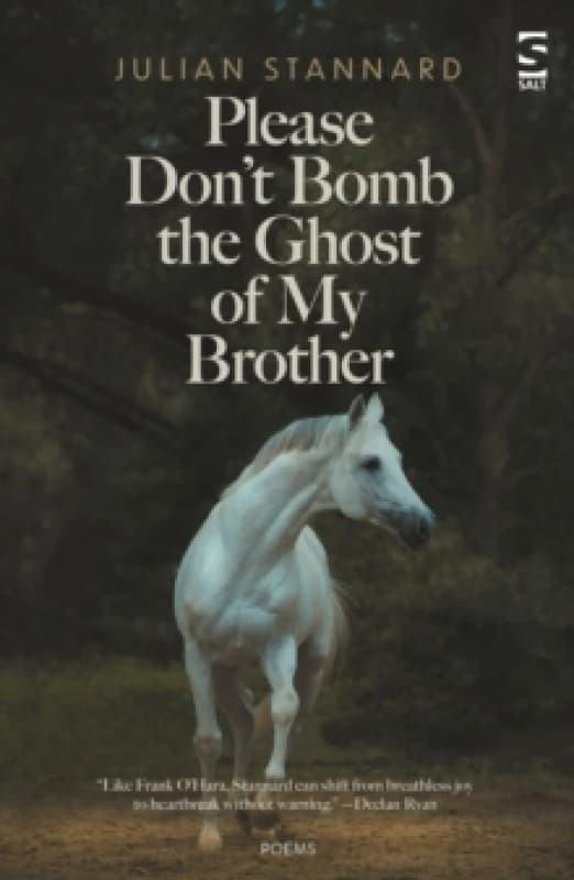 Please Dont Bomb the Ghost of My Brother Paperback / softback