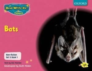 Bats by Gill Munton Paperback