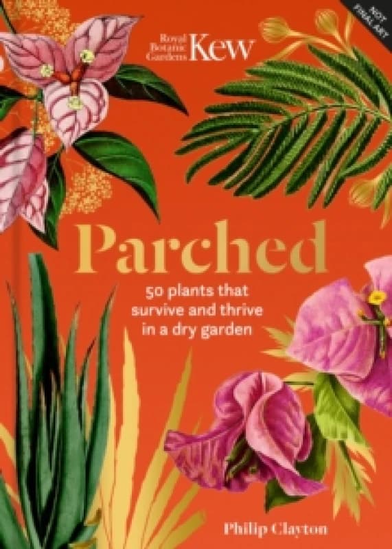 Parched : 50 plants that thrive and survive in a dry garden Hardback