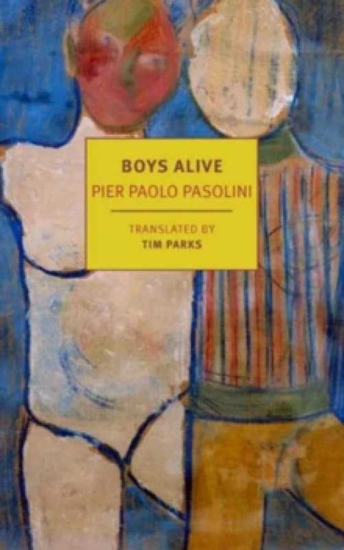 Boys Alive Paperback / softback