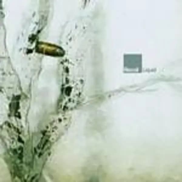 Recoil - Liquid (Music CD)