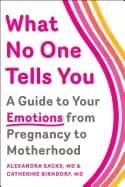 what no one tells you a guide to your emotions from pregnancy to motherhood