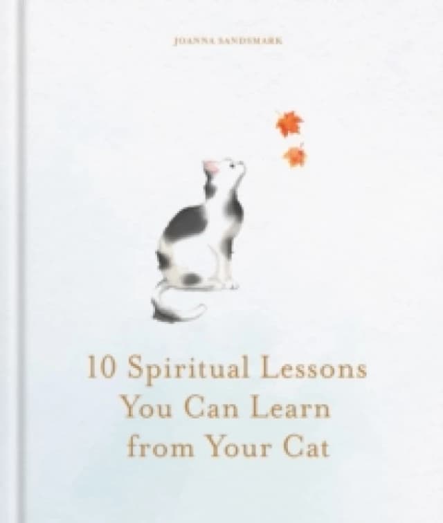 10 Spiritual Lessons You Can Learn from Your Cat : Essential Life Lessons We Can Learn From Our Furry Friend Hardback