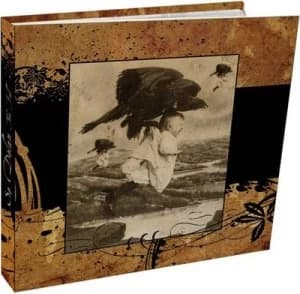 The Fall by Se Delan CD Album