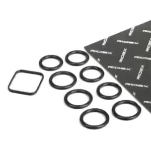 RIDEX Gasket Set, intake manifold 43G0036 FORD,FIAT,PEUGEOT,Fiesta Mk6 Schragheck (JA8, JR8),Fiesta Mk5 Schragheck (JH1, JD1, JH3, JD3)