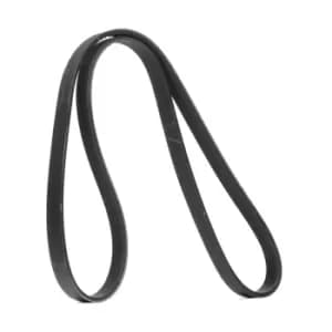 SKF V-ribbed belt MERCEDES-BENZ,RENAULT,NISSAN VKMV 6PK1197 117208309R,0039935196,6079930696 A0039935196,1172000Q5E,1172000Q8A,117208309R,117209098R