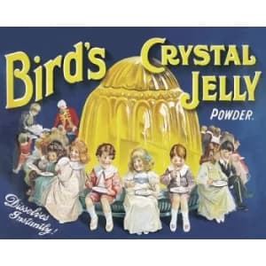 Vintage Metal Sign Retro Advertising Birds Crystal Jelly Powder