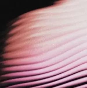 Everything Everywhere by Polar Vinyl Album