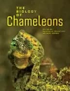 biology of chameleons