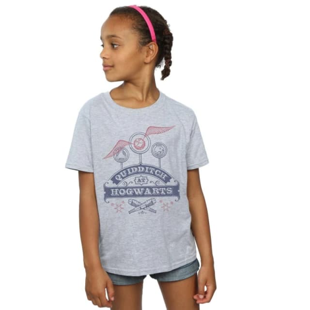 Harry Potter Quidditch At Hogwarts T-Shirt Grey female