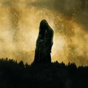 Toward the Depths by Woods of Desolation CD Album