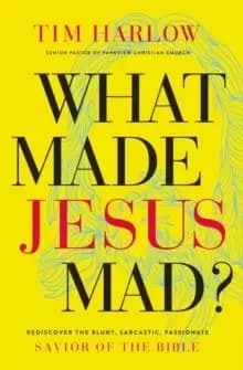 What Made Jesus Mad?* : Rediscover the Blunt, Sarcastic, Passionate Savior of the Bible